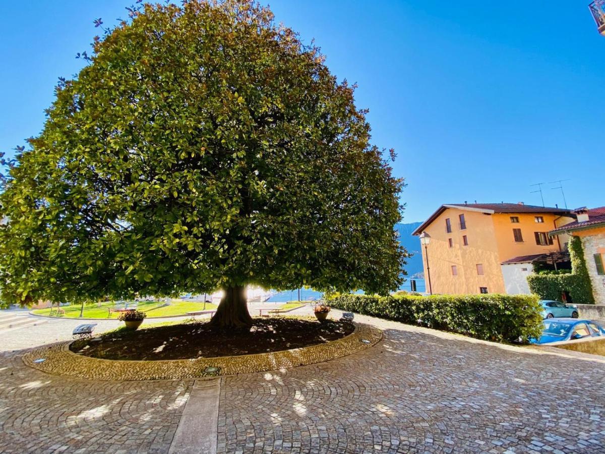Angelo Loft Villa Tremezzo Eksteriør billede